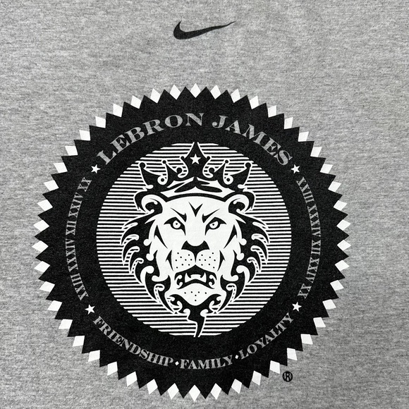 Nike Lebron James More Than a Game World Tour Graphic T-Shirt Grey Men’s XL - Picture 3 of 10